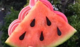 网红旅游吃瓜,美食瓜果香——探寻热门旅游地的独特风味